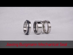 চীনে যান্ত্রিক সীল কারখানা