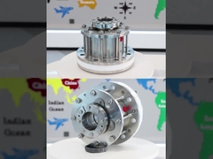 শুকনো চলমান খাদ্য গ্রেড Agitator যান্ত্রিক সীল