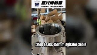 150mm আন্দোলনকারী যান্ত্রিক সীল উচ্চ কর্মক্ষমতা সমাধান